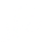 So Shape España
